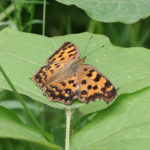 公園は涼しくなってきた